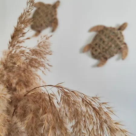 شقة Noelia House أمولياني